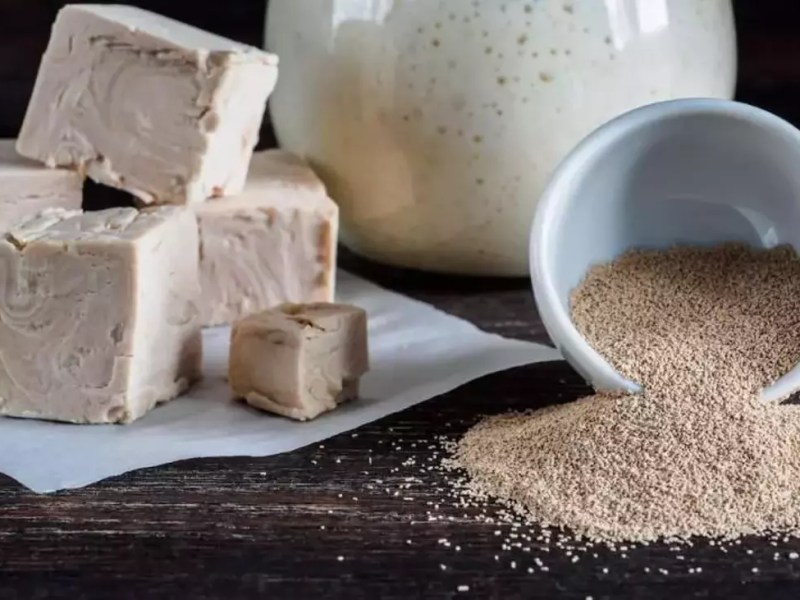 Ekmek Yapımında Kullanılan Mayalar&nbsp;Nelerdir?