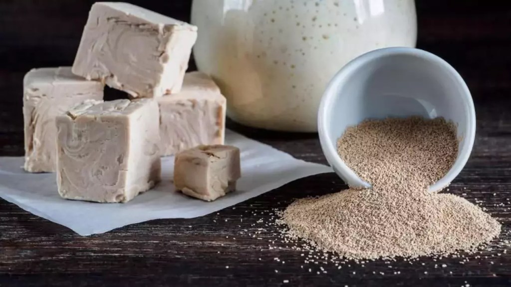 Ekmek Yapımında Kullanılan Mayalar Nelerdir?